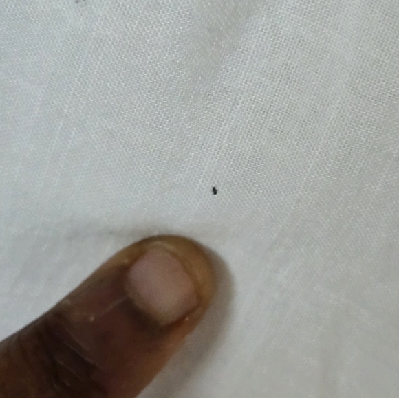 Arna York Collection Dress Womens Plus 26/28 Green White Button Up Paisley - Picture 11 of 16